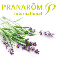 pranarom eterina i biljna ulja, shea maslac, difuzeri, kozmetika, aromaforce